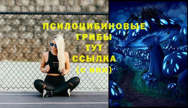 твердый Беломорск