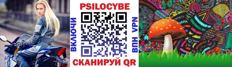 Галлюциногенные грибы Psilocybine cubensis  MEGA вход  Очёр 
